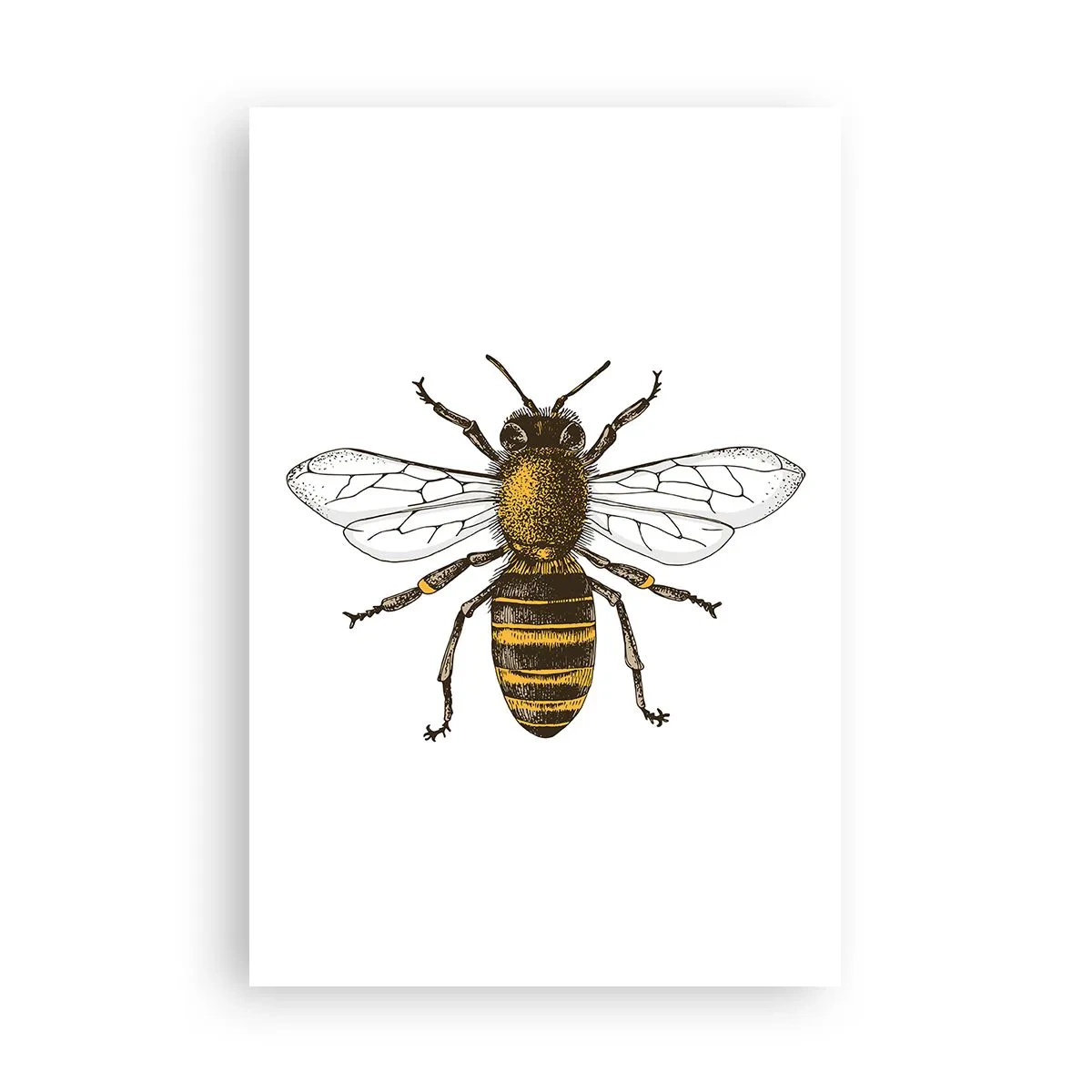 Poster - Frumoasă și bună - 61x91 cm