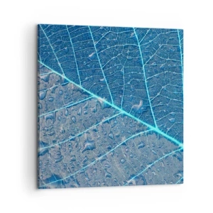 Tablou pe pânză - Viața în albastru - 60x60 cm