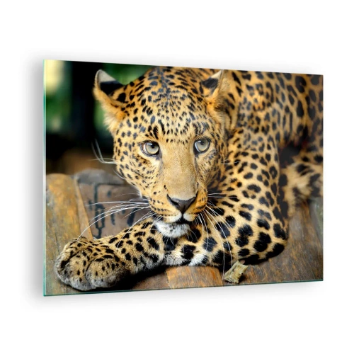 Tablou pe sticlă - Leopard odihnindu-se pe o suprafață de lemn - 70x50cm - Nu-ți fie teamă, apropie-te - Decorațiune modernă pentru perete pentru living și dormitor ARTTOR