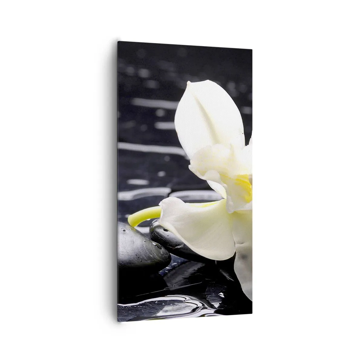 Tablou pe pânză - Studiu în alb și negru - 65x120 cm