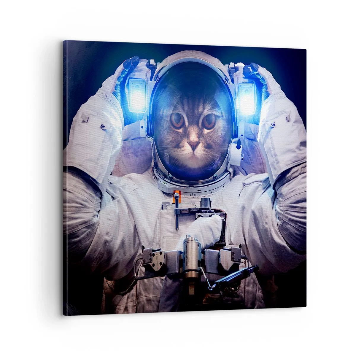 Tablou pe pânză - Houston, aveți o problemă - 60x60 cm