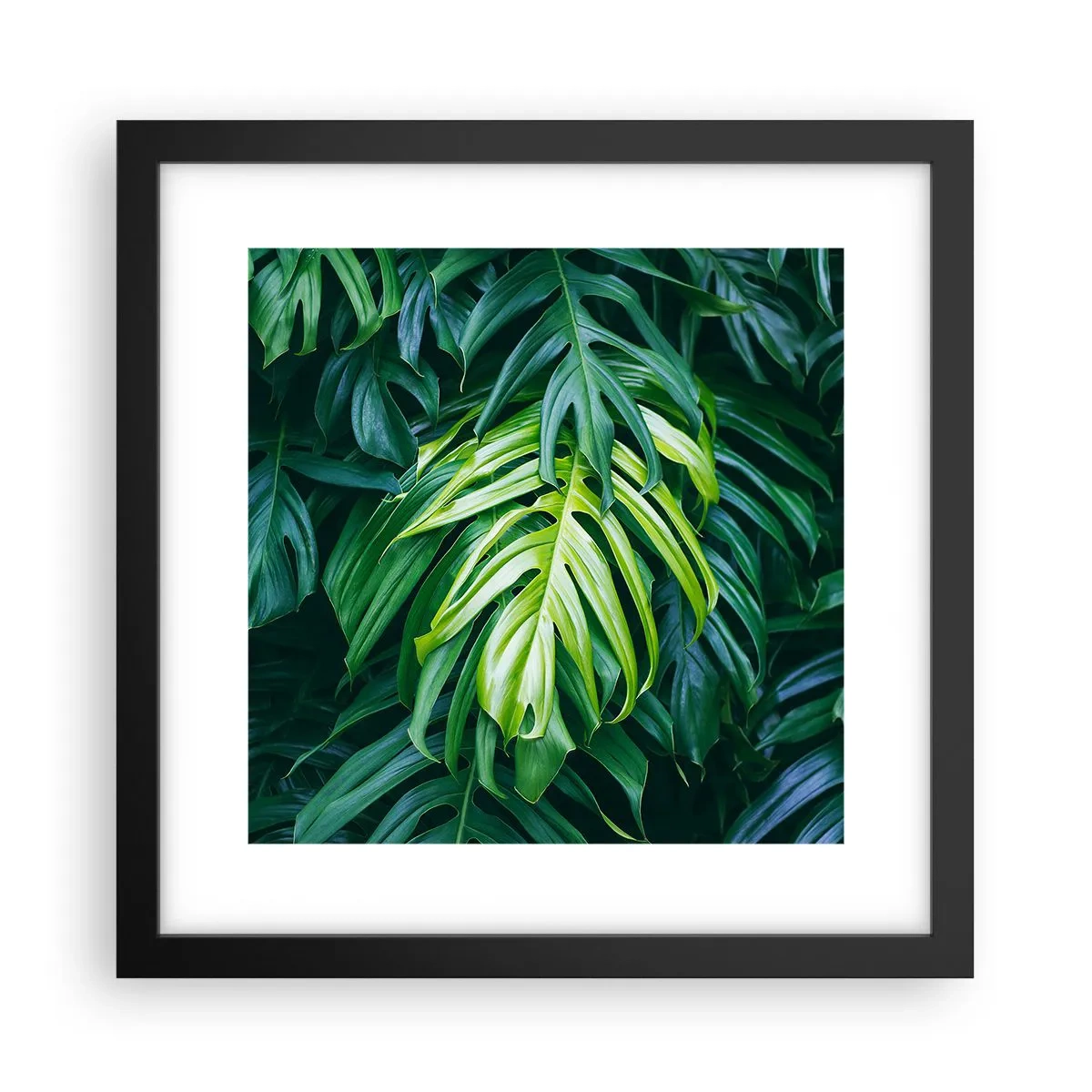 Poster în ramă neagră - Scufundă-te în prospețime - 30x30 cm