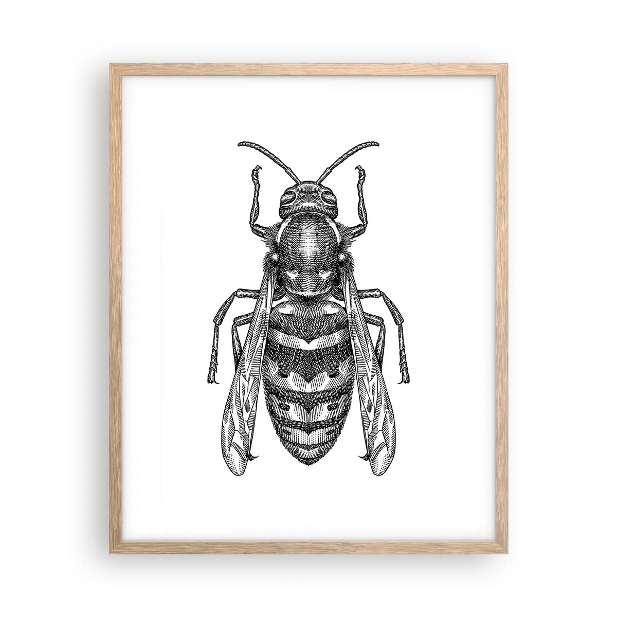 Poster în ramă de stejar deschis - De pe o planetă de insecte - 40x50 cm