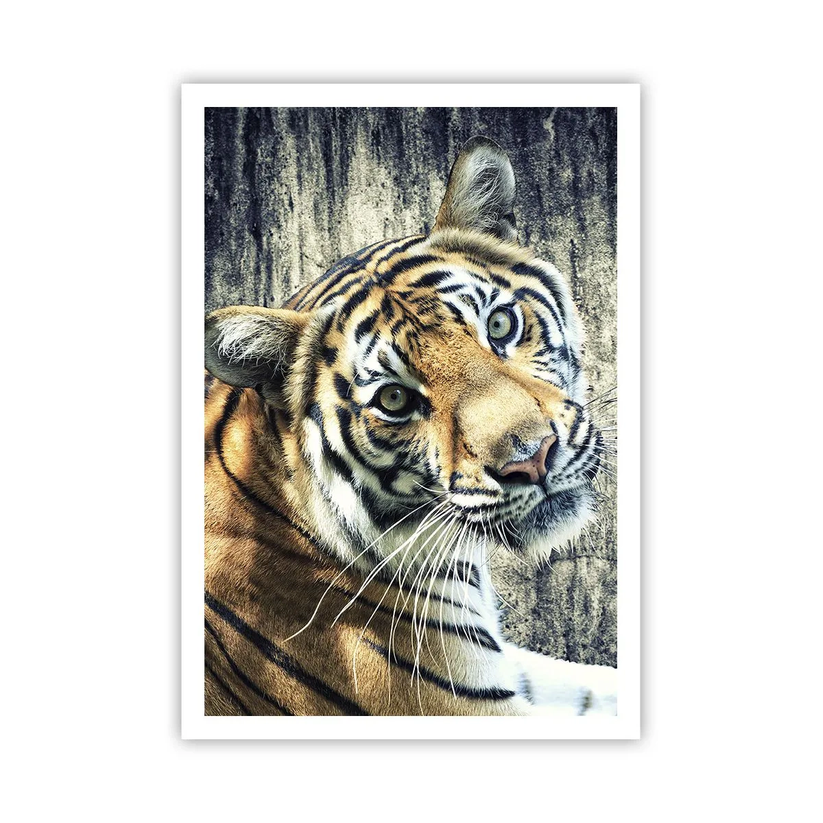 Poster - Portret în fluxuri de lumină - 70x100 cm