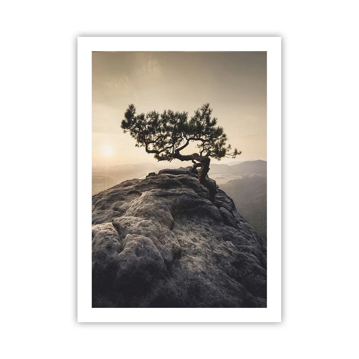 Poster - Viața învinge întotdeauna - 50x70 cm