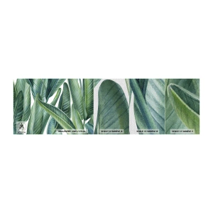 Mostră tapet Premium Sand - Verdeața în sine - Frunze verzi, Planta tropicala, Natură - 100x30 cm