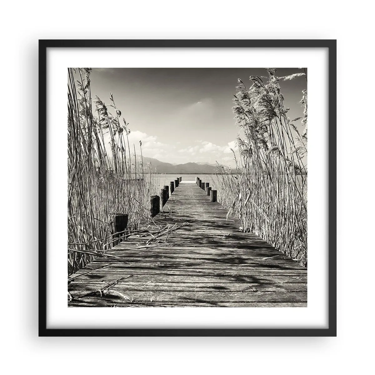 Poster în ramă neagră - În intimitatea ierburilor - 50x50 cm