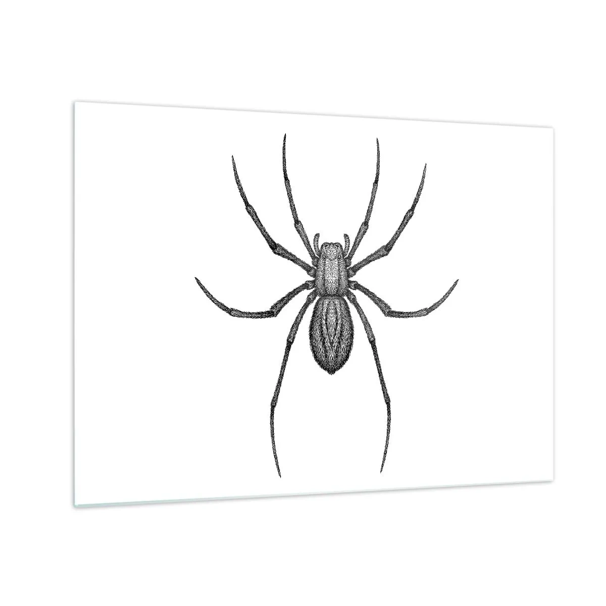 Tablou pe sticlă - Ilustrație în stil retro a unui păianjen negru pe fundal alb - 70x50cm - Precizie tulburătoare - Decorațiune modernă pentru perete pentru living și dormitor ARTTOR