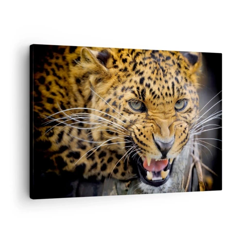 Tablou pe pânză Canvas - Un prim-plan al unui leopard amenințător, cu colții scoși la iveală. - 70x50cm - Nu te apropia, te avertizez! - Decorațiune modernă pentru perete pentru living și dormitor ARTTOR