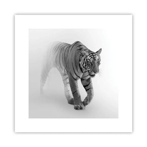 Poster - De veghe în ceață - 30x30 cm