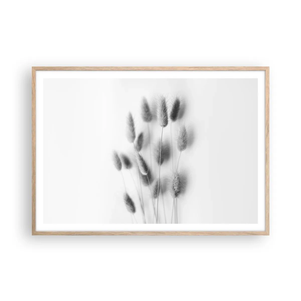 Poster în ramă de stejar deschis - Pufoșenia ierbii - 100x70 cm