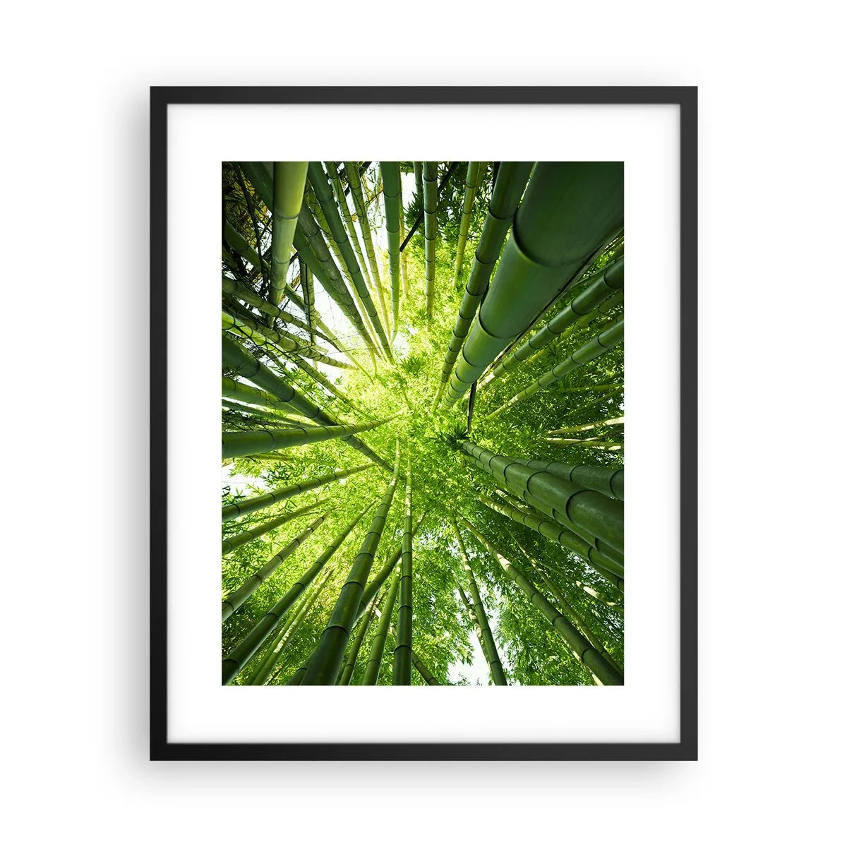 Poster în ramă neagră - Într-o pădure de bambus - 40x50 cm