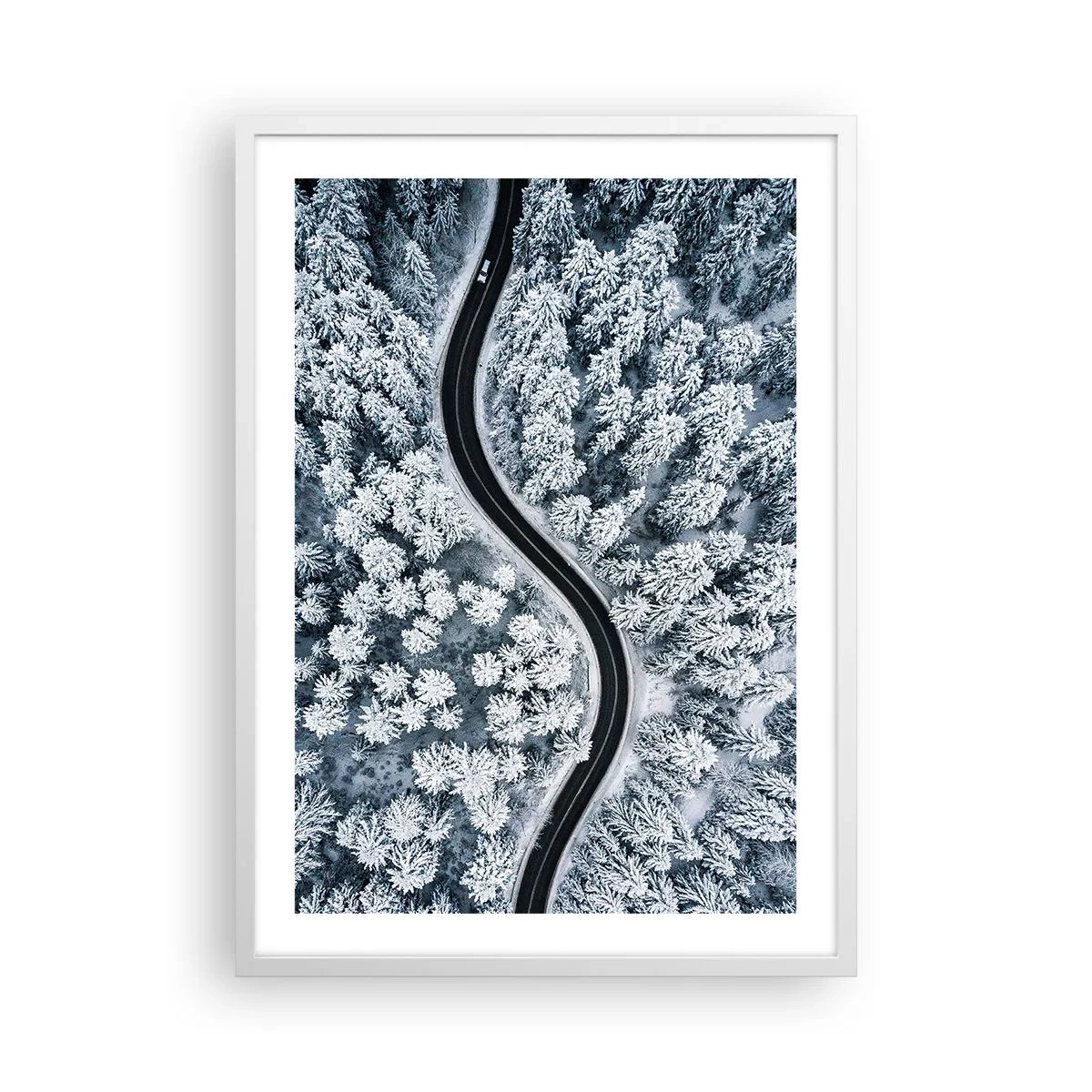 Poster în ramă albă - Prin pădurea de iarnă - 50x70 cm