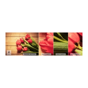 Mostră de Tapet Standard Eco - Mărturisire de primăvară - Flori, Lalele, Buchet de flori - 100x30 cm