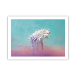 Poster - Viața de după flori - 70x50 cm