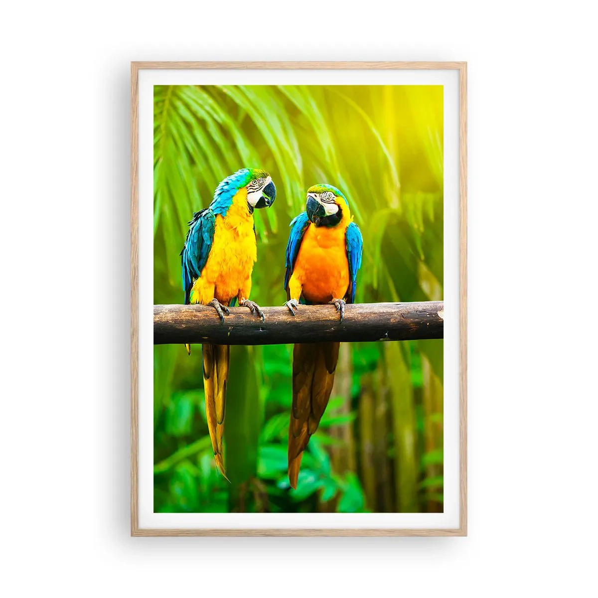 Poster în ramă de stejar deschis - Și ai auzit că ea...? - 70x100 cm