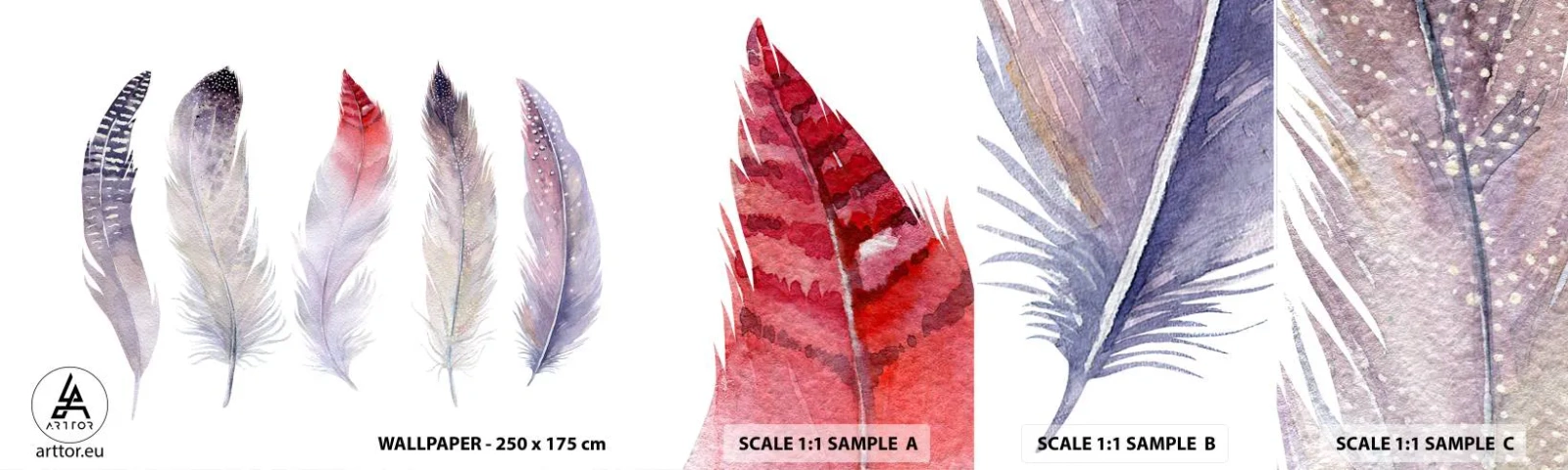 Mostră tapet autocolant Deluxe Sticker - Delicate ca o ceață multicoloră - Pene de pasăre, Boho, Grafică - 100x30 cm