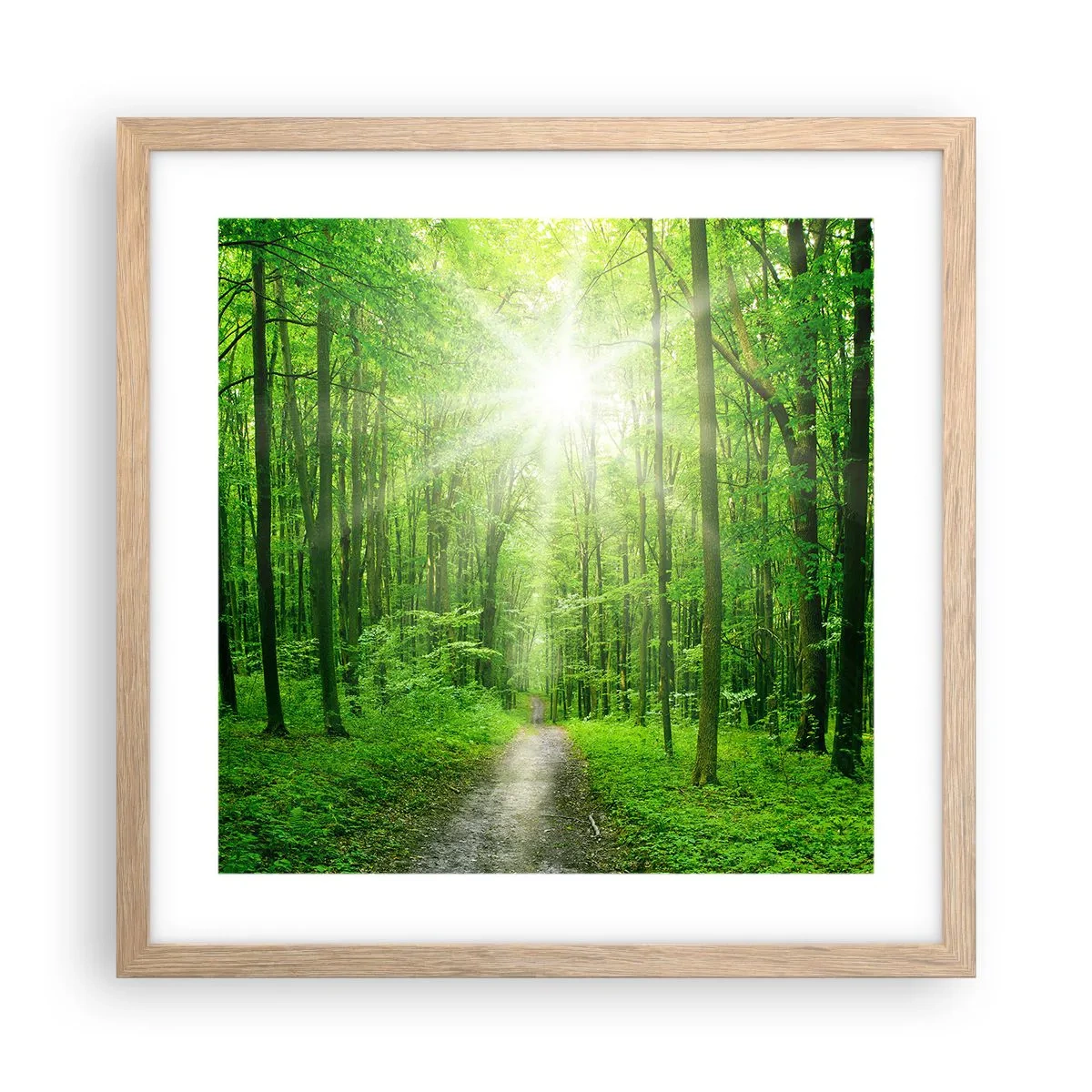 Poster în ramă de stejar deschis - Catedrala verde - 40x40 cm