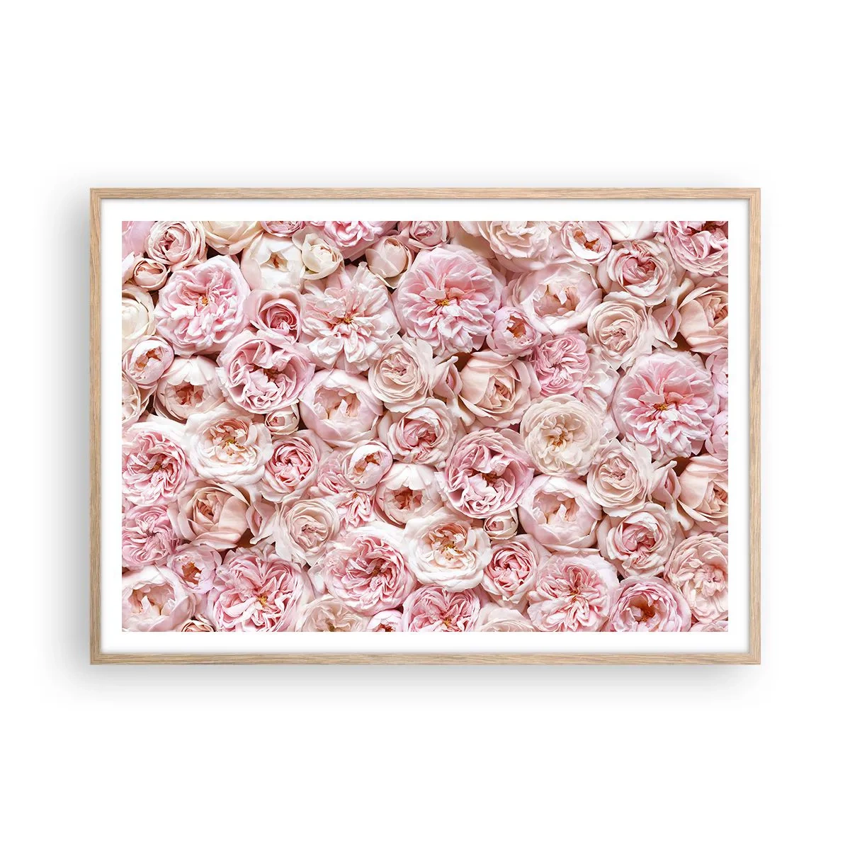 Poster în ramă de stejar deschis - Presărat cu trandafiri - 100x70 cm