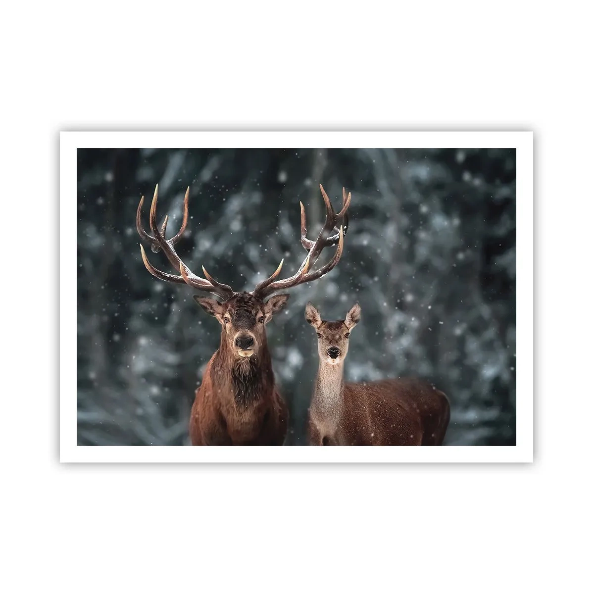 Poster - Stăpânul pădurii și soția sa - 100x70 cm