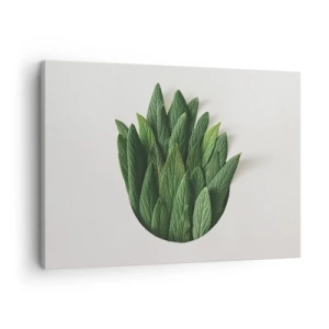 Tablou pe pânză Canvas - O compoziție de frunze verzi pe un fundal deschis - 70x50cm - Curiozitatea nestăvilită - Decorațiune modernă pentru perete pentru living și dormitor ARTTOR