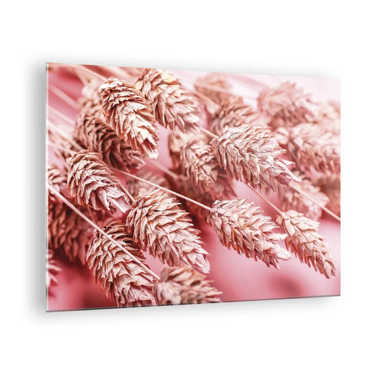 Tablou pe sticlă - Șuvițe de porumb uscate în nuanțe de roz pe un fundal pastel - 70x50cm - Cascadă florală în roz - Decorațiune modernă pentru perete pentru living și dormitor ARTTOR