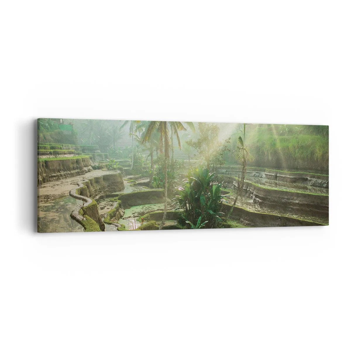 Tablou pe pânză - Crescând la soare - 90x30 cm