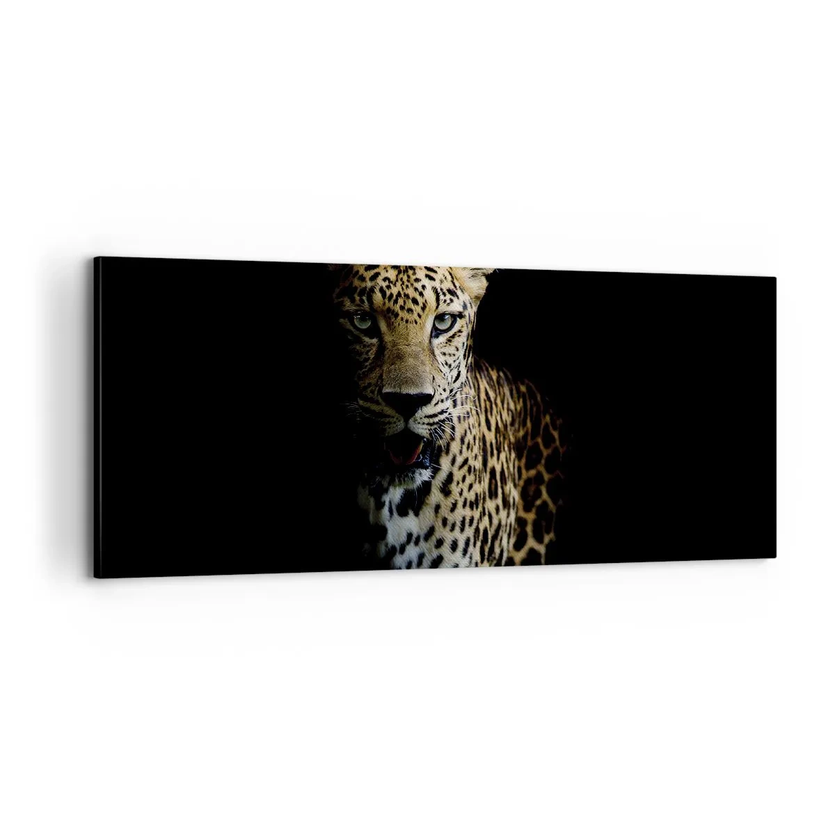 Tablou pe pânză - Frumusețe întunecată - 100x40 cm