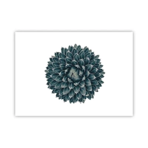 Poster - Steaua deșertului - 70x50 cm