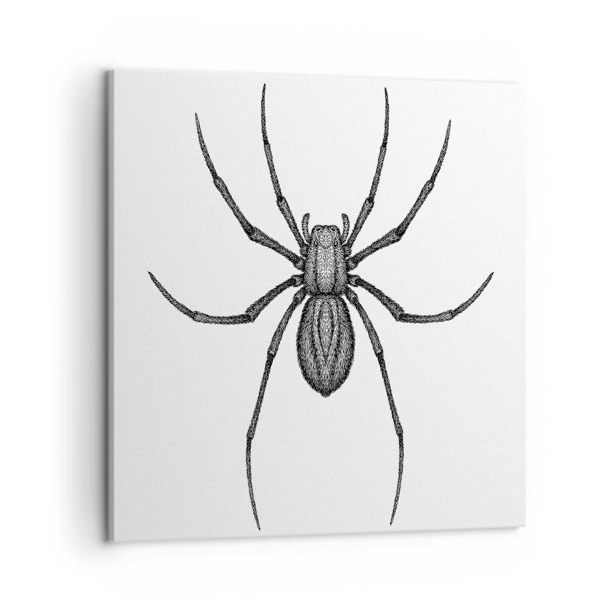 Tablou pe pânză - Precizie tulburătoare - 50x50 cm