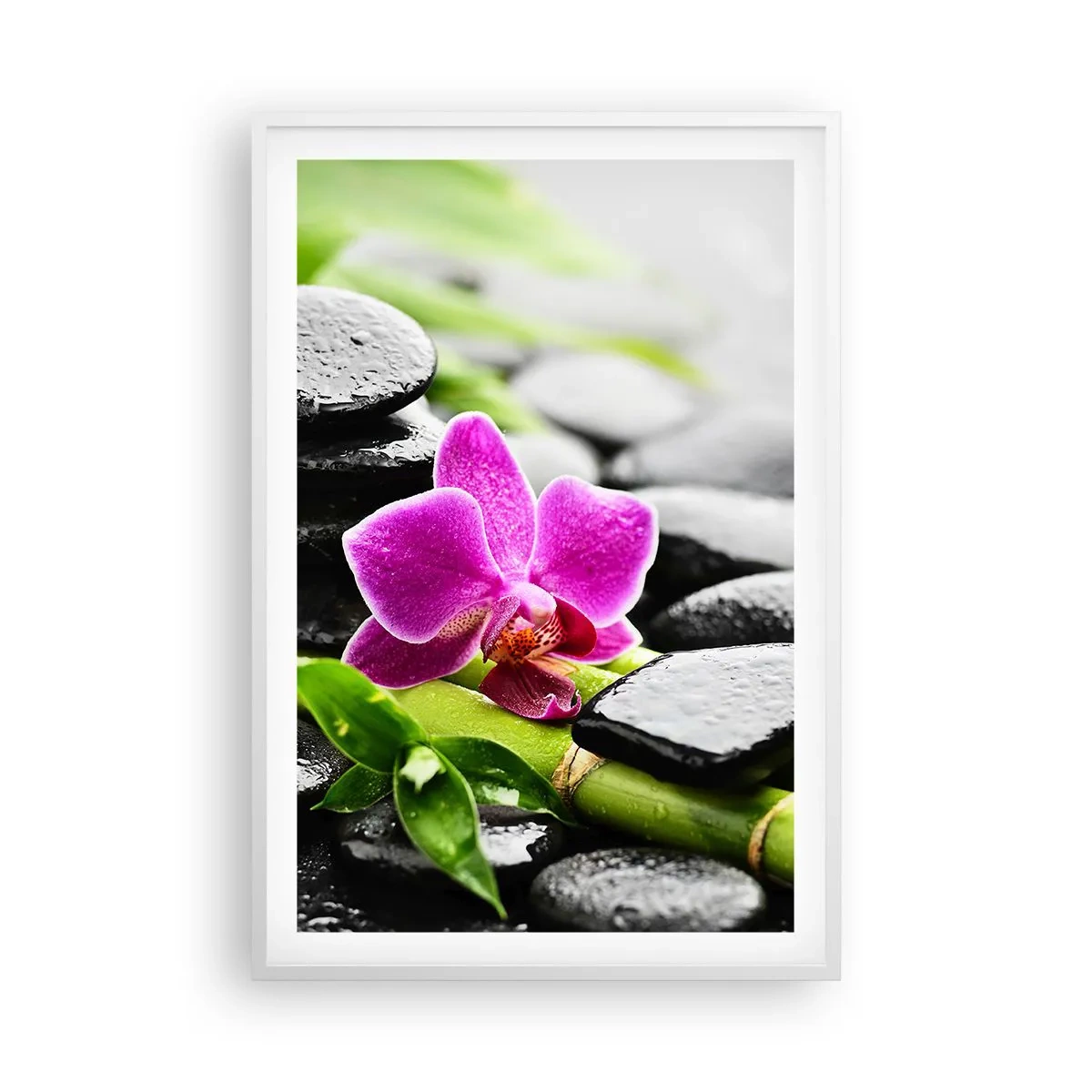 Poster în ramă albă - Într-un echilibru pașnic - 61x91 cm