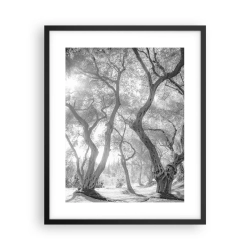 Poster în ramă neagră - Într-o livadă de măslini - 40x50 cm