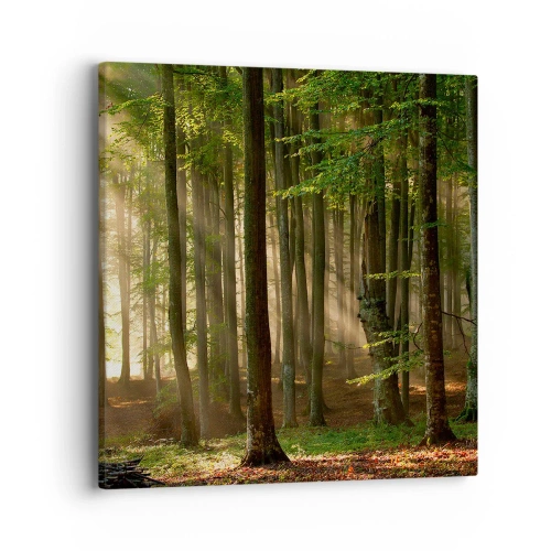 Tablou pe pânză - Strălucitoare într-o dimineață de primăvară - 40x40 cm