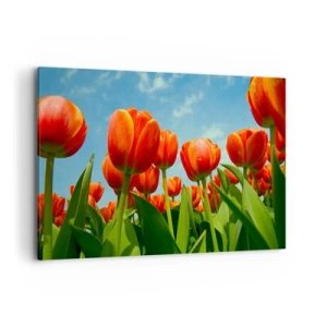 Tablou pe pânză - Doar cerul albastru - 120x80 cm