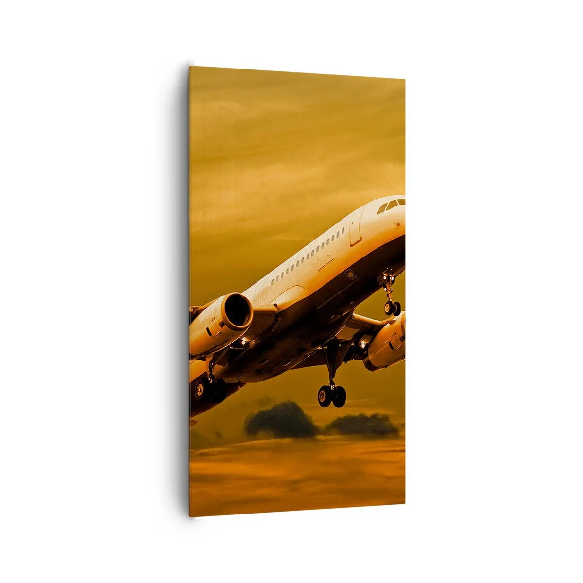 Tablou pe pânză - Zbor spre soare - 65x120 cm