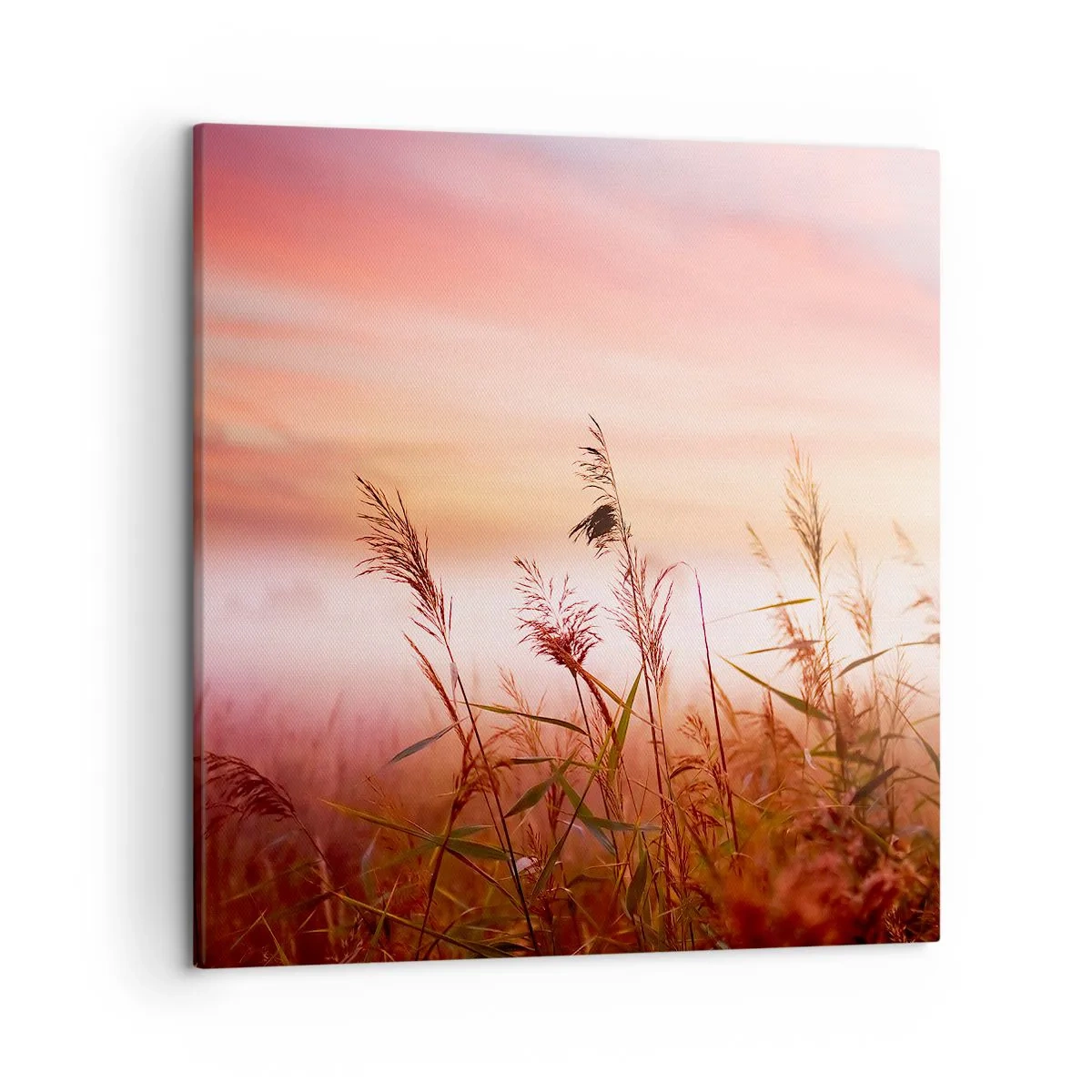 Tablou pe pânză - Zmeuri, suflante, vânt - 50x50 cm
