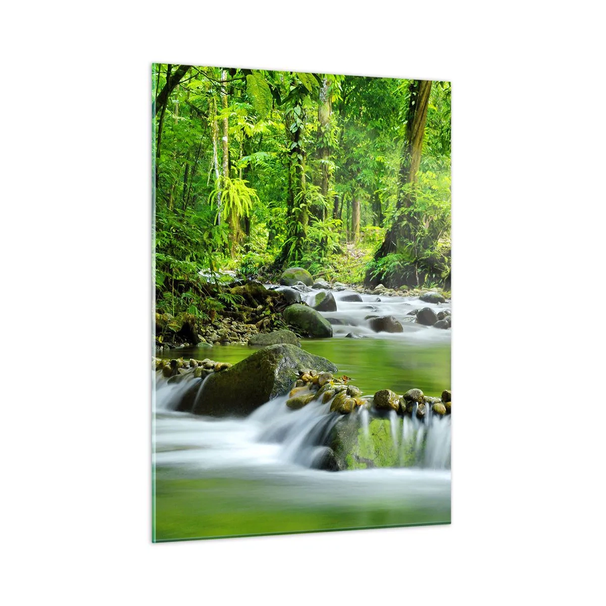 Tablou pe sticlă - Să înotăm într-o mare de verde - 50x70 cm