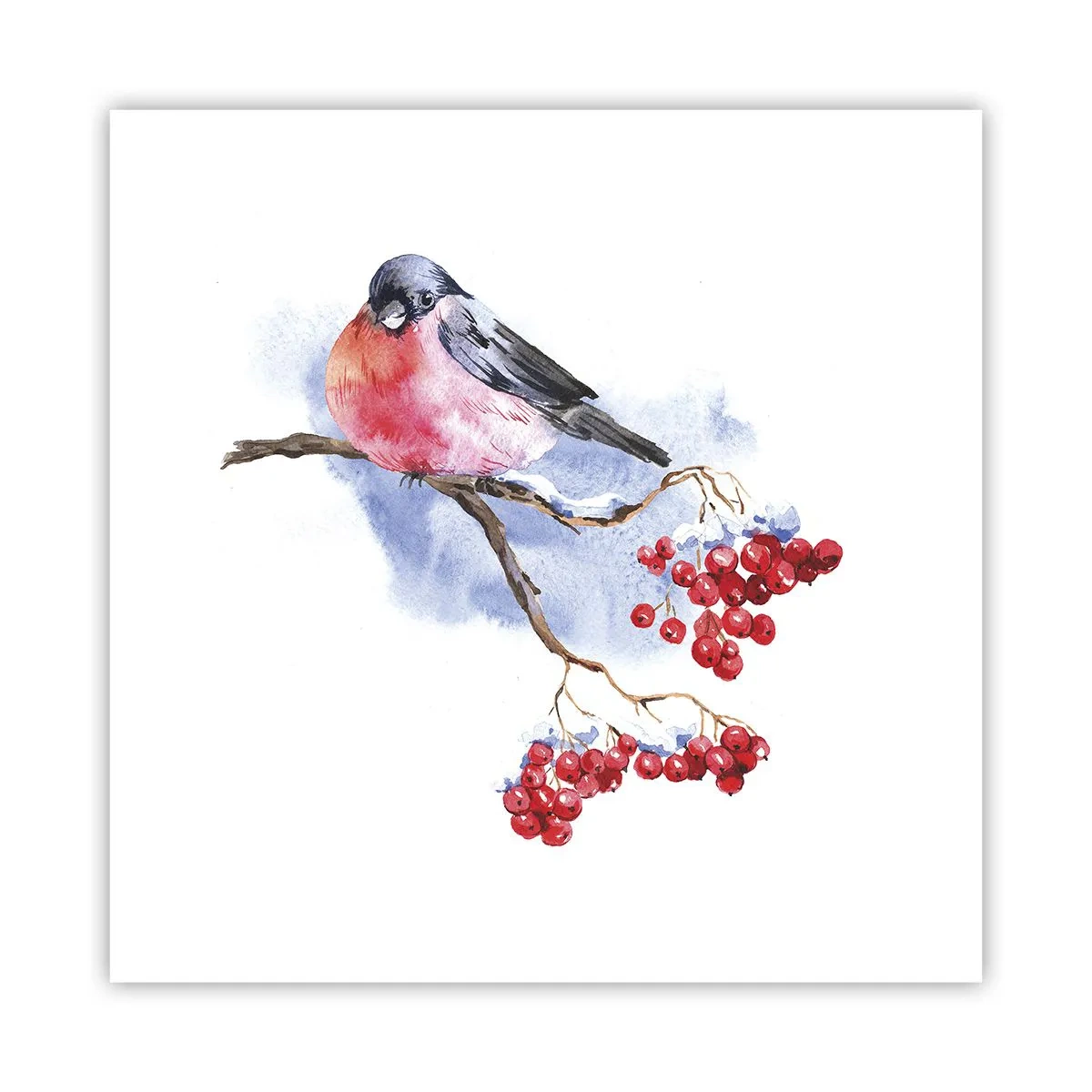 Poster - Iarna în culori - 40x40 cm