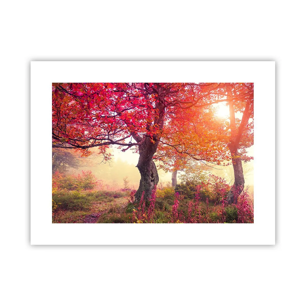 Poster - O frenezie de înflorire - 40x30 cm