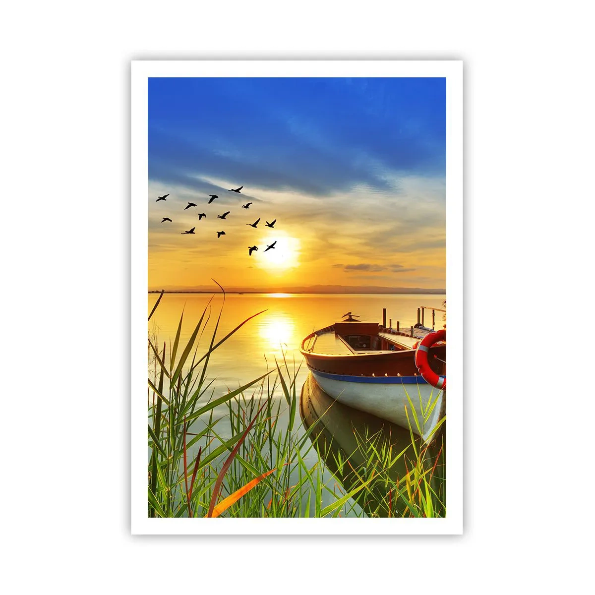 Poster - Cormoranii pleacă deja - 70x100 cm