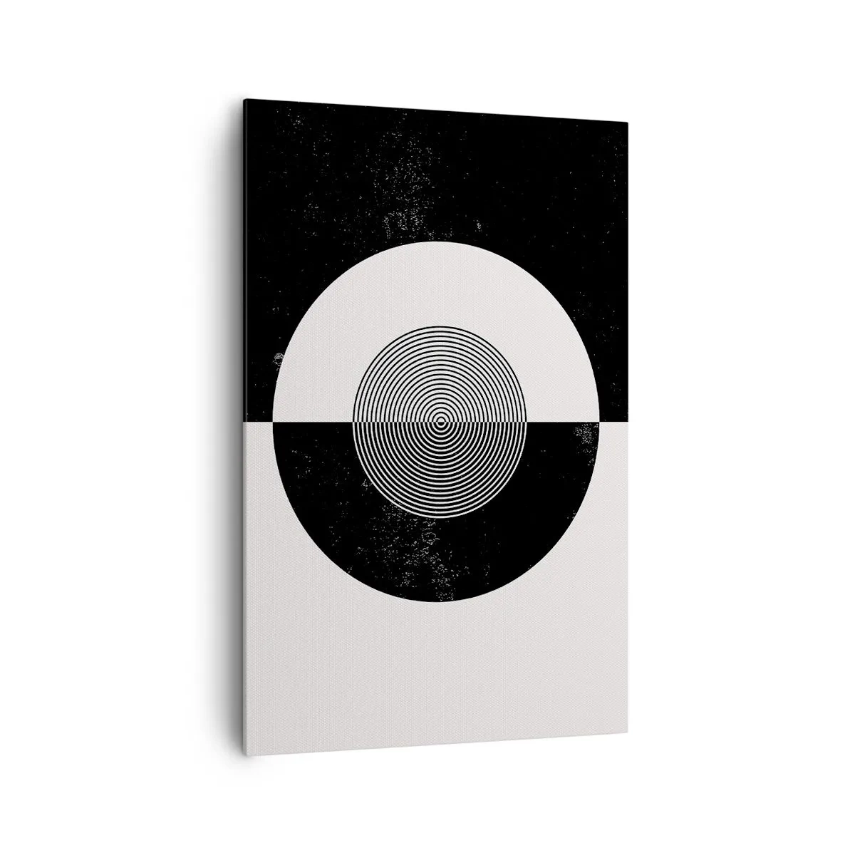 Tablou pe pânză - Armonie în alb și negru - 80x120 cm
