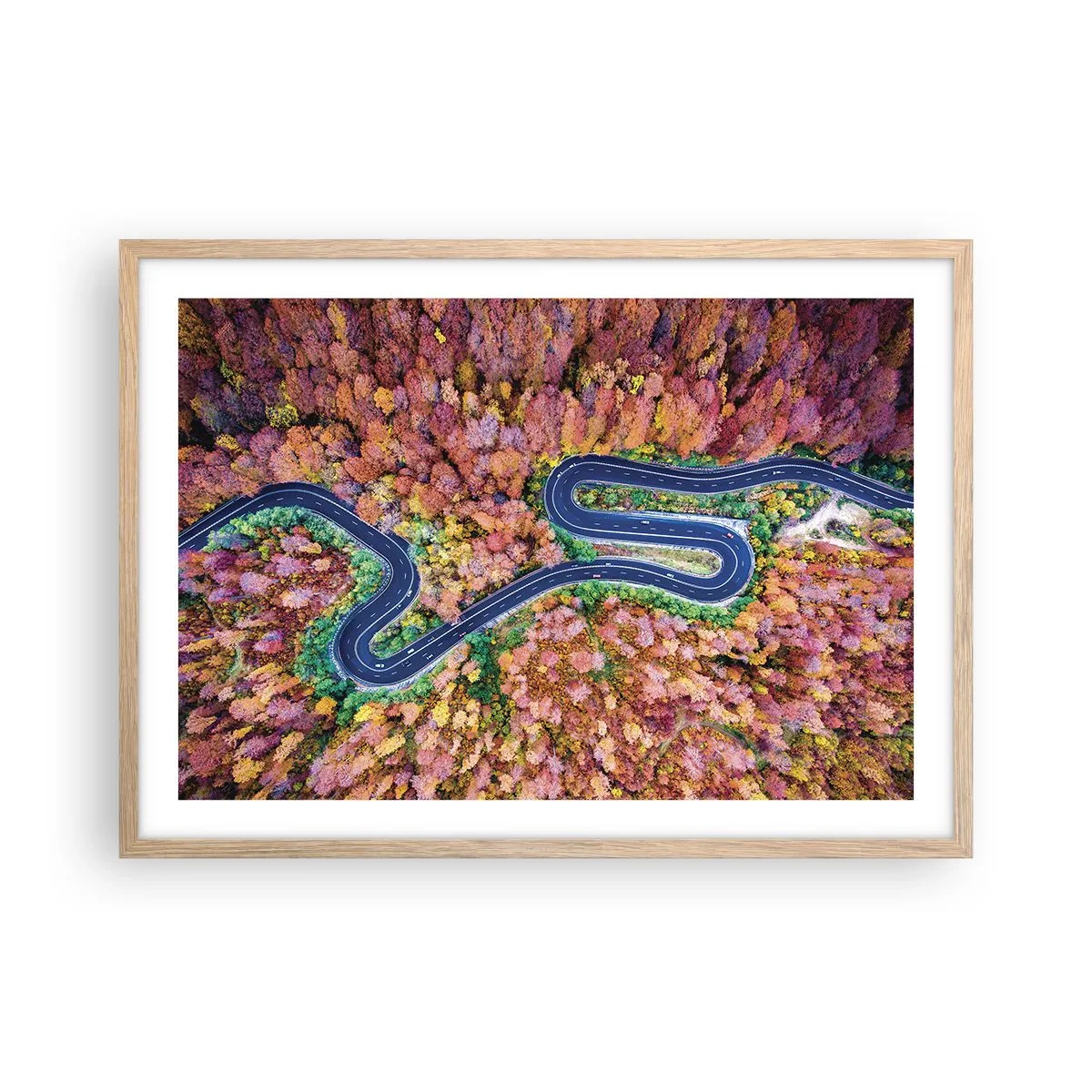 Poster în ramă de stejar deschis - Un drum șerpuit prin pădure - 70x50 cm