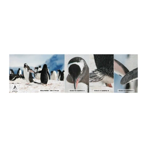 Mostră tapet Premium Canvas - Dansul în zăpadă - Pinguin, Antarctica, Peisaj - 100x30 cm