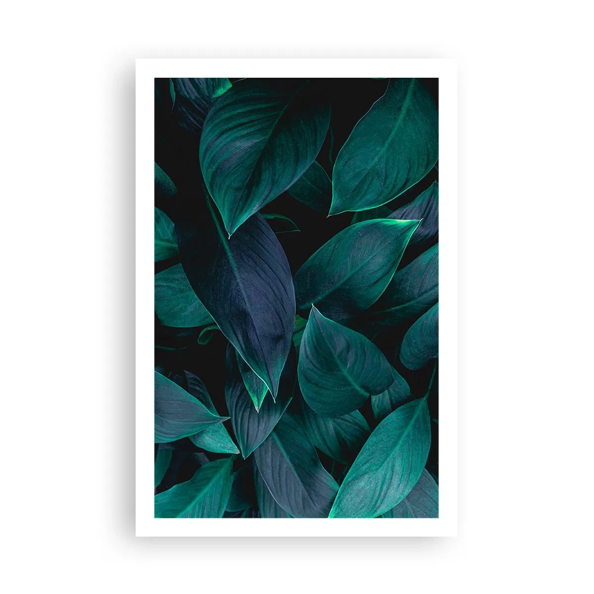 Poster - Verdeața în sine - 61x91 cm
