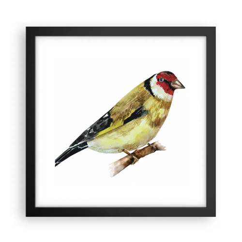 Poster în ramă neagră - Portret de pasăre - 30x30 cm
