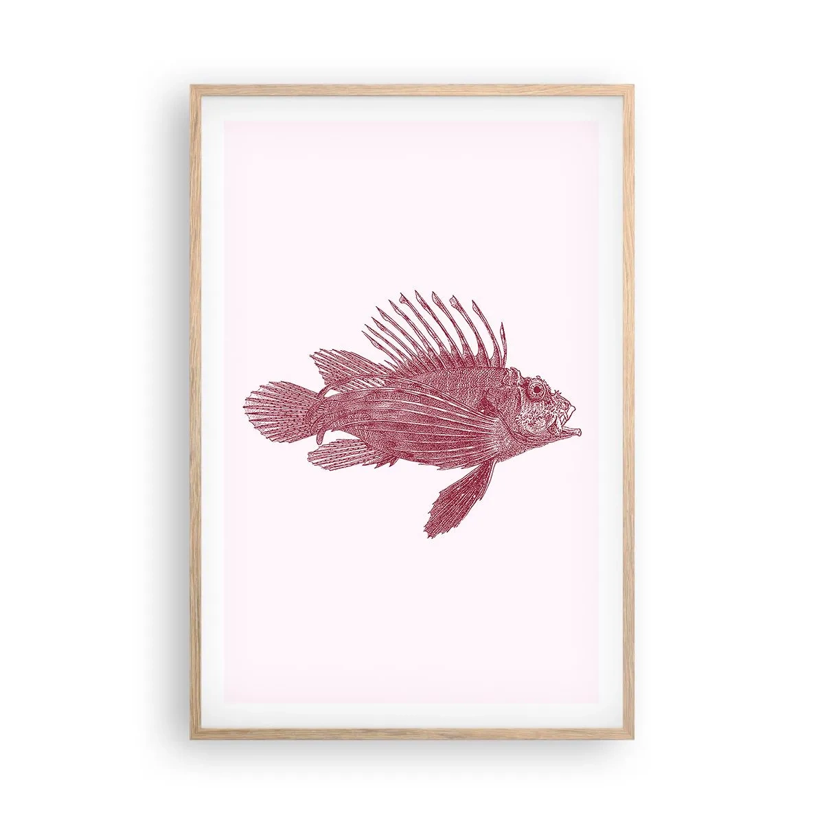 Poster în ramă de stejar deschis - Un locuitor al apelor exotice - 61x91 cm