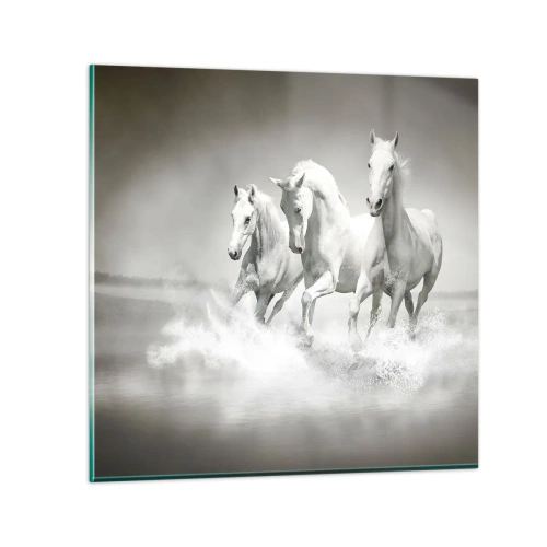 Tablou pe sticlă - Nebunie albă - 30x30 cm