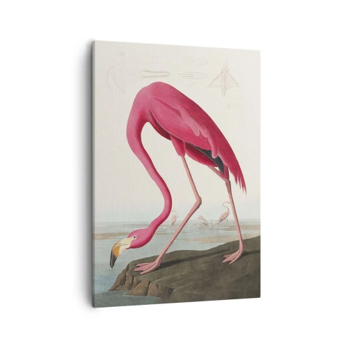 Tablou pe pânză Canvas - O creatură uimitoare - 50x70 cm