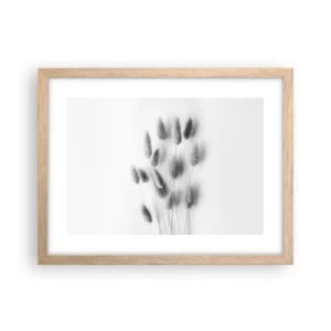 Poster în ramă de stejar deschis - Pufoșenia ierbii - 40x30 cm