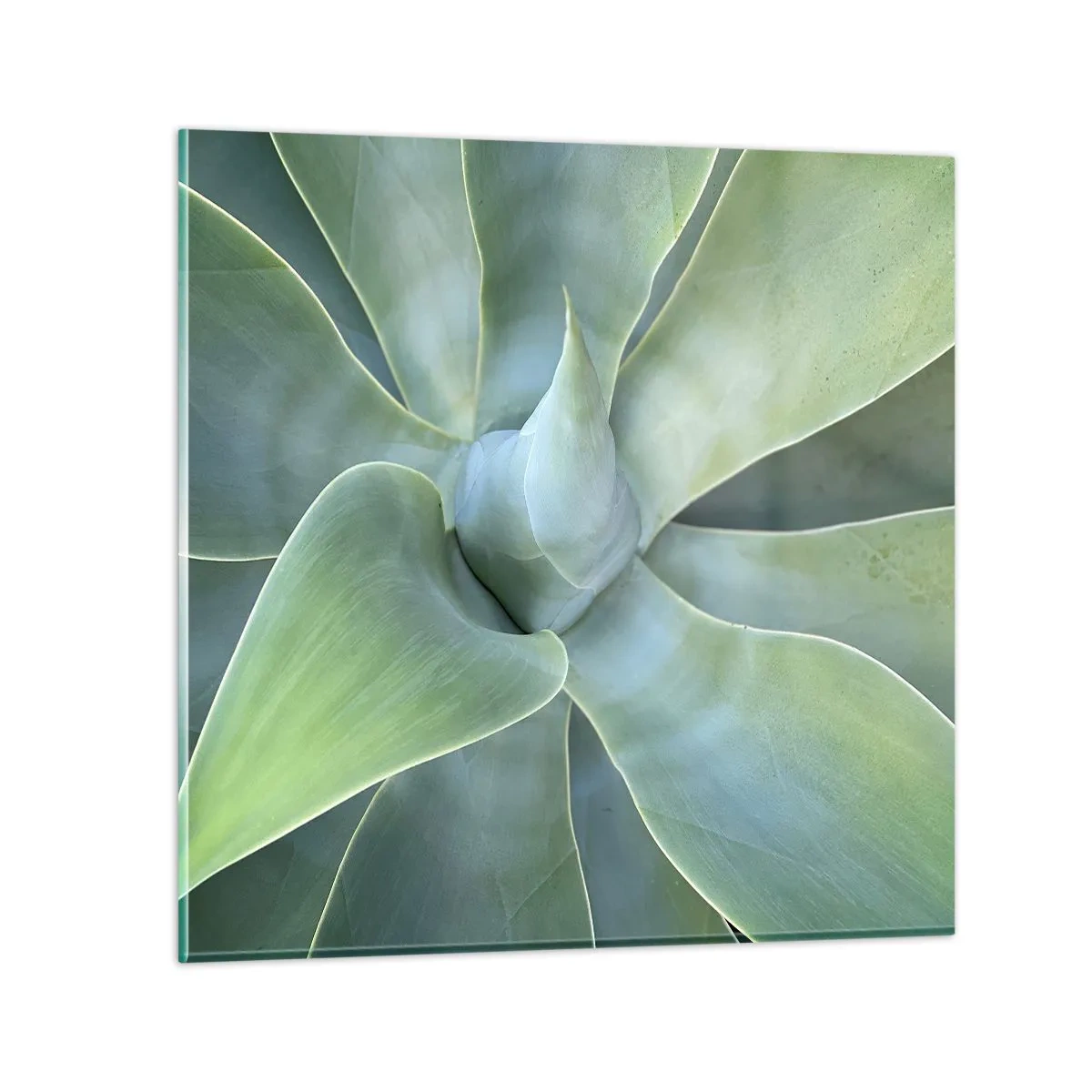 Tablou pe sticlă - Nașterea verdeții - 70x70 cm